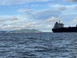 leaving Panama: so many ships makes New York harbor look quaint